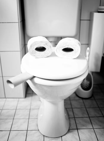 Toilet bowl frog