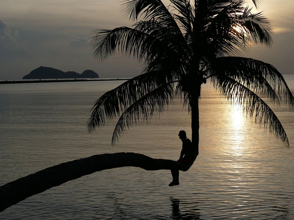 Man sitting on palm tree over water