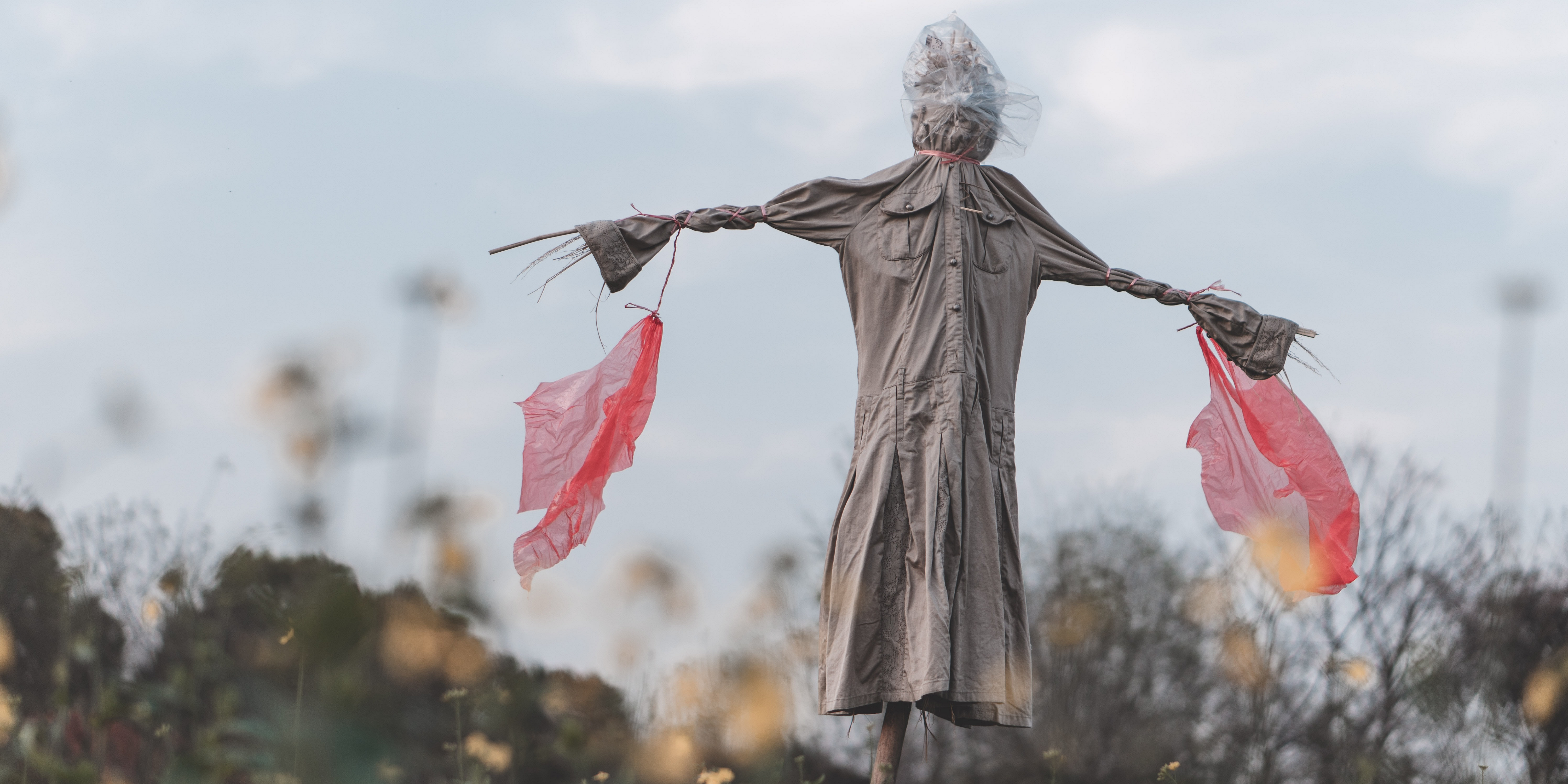 Scarecrow in a field